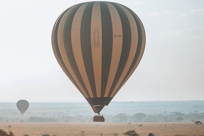 5-Days Private Safari Tour in Trangire, Serengeti, and Ngorongoro Crater - Price and value: is $1,999 fair for five days of big parks?