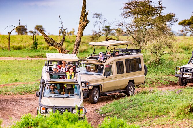 5 Days Private Safari Tour & Maasai village Visit Tanzania - Key highlights at a glance