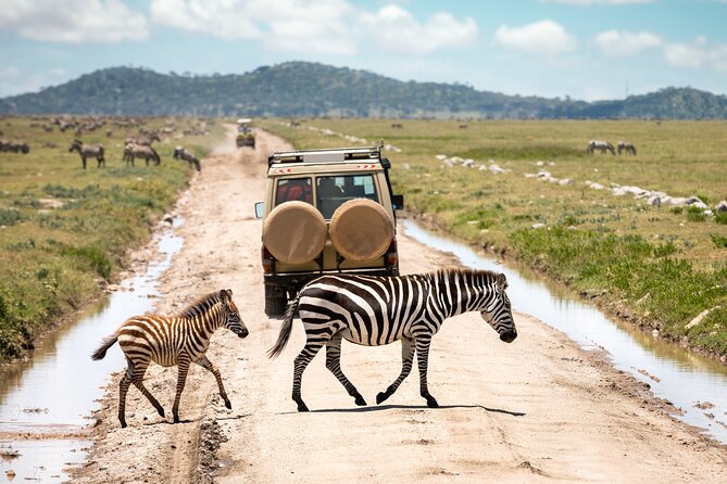 5 Days Private Safari Tour & Maasai village Visit Tanzania - Day 5 at Ngorongoro Crater: sunrise timing and high-odds wildlife
