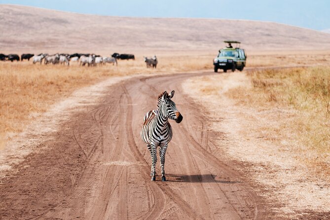 5 Days Private Safari Tour & Maasai village Visit Tanzania - The Mto wa Mbu stop: a village visit that adds real context