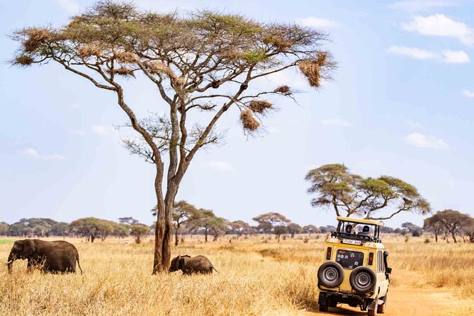 5 Days Private Tarangire, Serengeti, Ngorongoro, Manyara Safaris - Serengeti via Karatu and the Seronera area: following water in the middle of it all