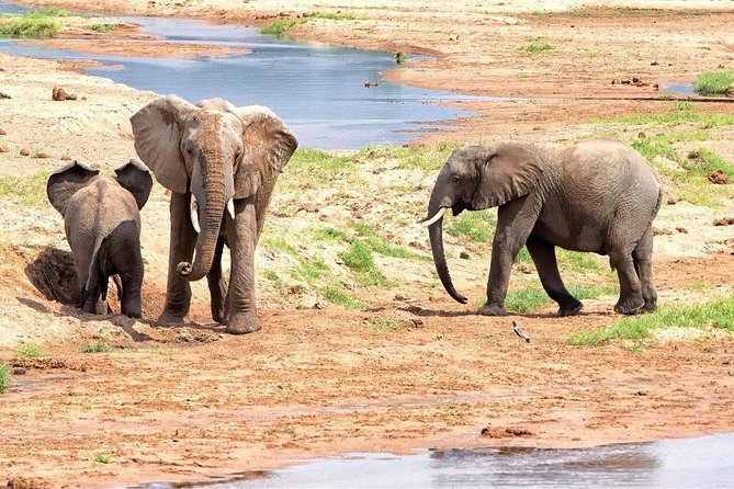 5 Days Ruaha National Park Safari - Key things I’d watch for before you go