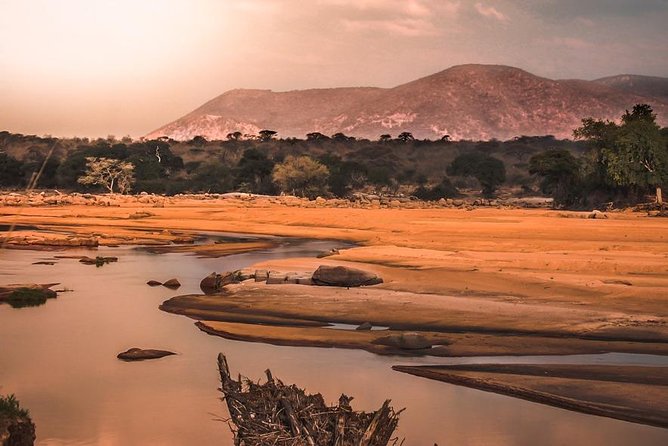 5 Days Ruaha National Park Safari - Day 4 walking safari: smaller life, medicinal plants, and quieter attention
