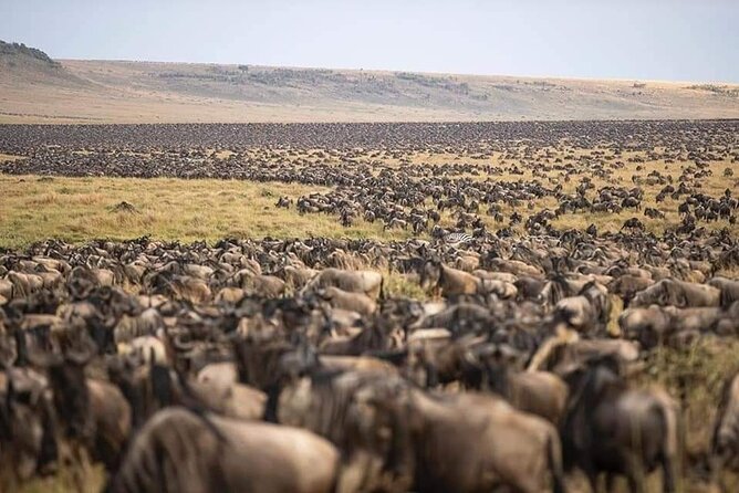 5 Days Safari Adventure in Tanzania - A 5-day safari circuit from Arusha: the logic behind the route