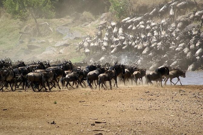 5 Days Safari Adventure in Tanzania - Price and value: what $2,600 is really buying