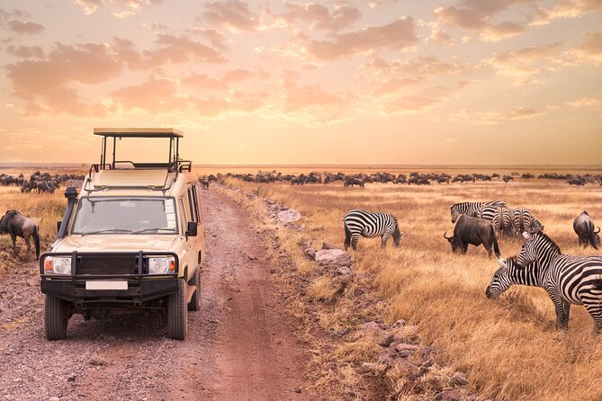 5 days safari, hiking & culture (Serengeti & kilimanjaro) - Day 1 in Tarangire National Park: Lions and the Drive That Sets the Tone