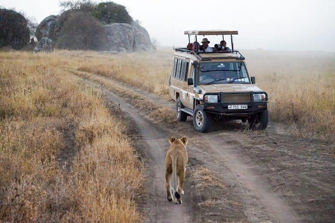 5 Days Safari In Serengeti And Ngorongoro - The Serengeti and Ngorongoro loop from Moshi makes practical sense