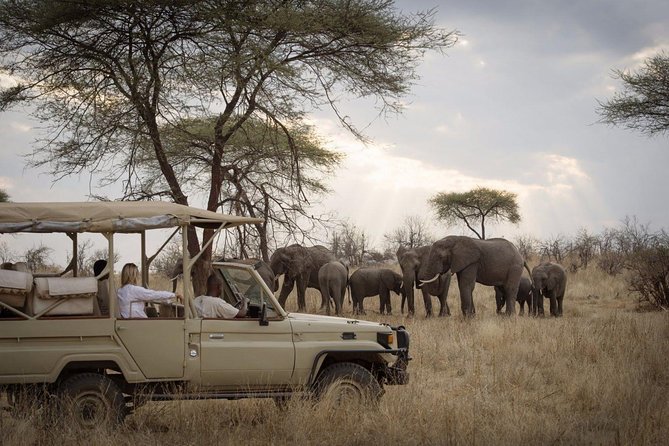 5 Days Safari In Serengeti And Ngorongoro - Day 1 at Arusha Safari Lodge: use the slope day to get ready