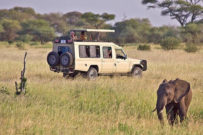 5 Days Safari in Tanzania | Camping and Lodge Safaris - The route that makes this safari work: Tarangire, Serengeti, Ngorongoro