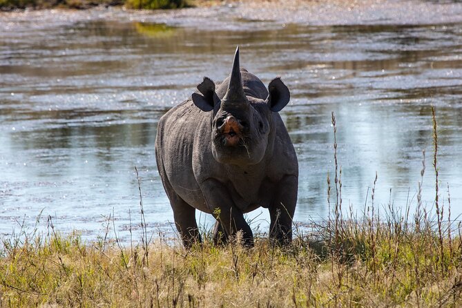 5 Days Safari Northern Circuit of Tanzania - Guides make or break the hours in the park