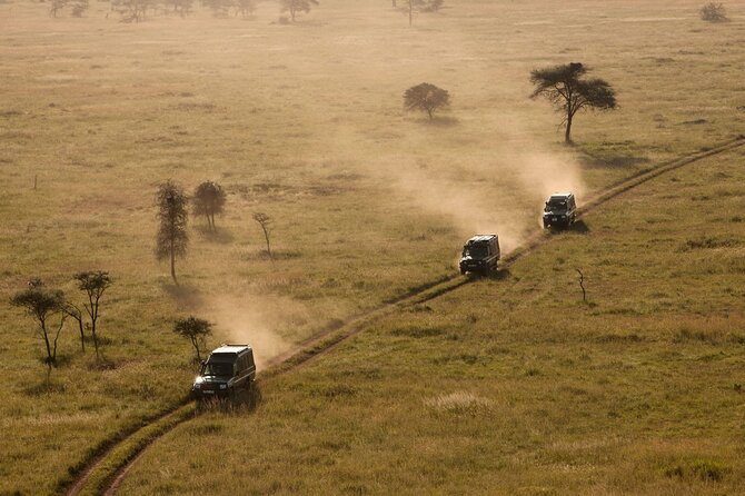 5 Days Safari Tarangire, Serengeti, and Ngorongoro Crater - The Northern Parks combo that makes 5 days feel full