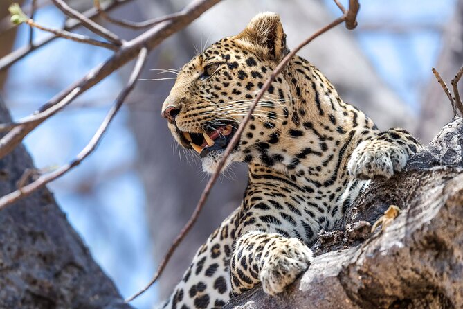 5 Days Safari Tarangire, Serengeti, and Ngorongoro Crater - Arusha arrival at The Charity Hotel, then off to safari mode