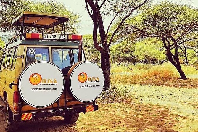 5 days Safari to Lake Manyara, Serengeti and Ngorongoro crater - Day 3 in Serengeti: adjusting around where the migration is