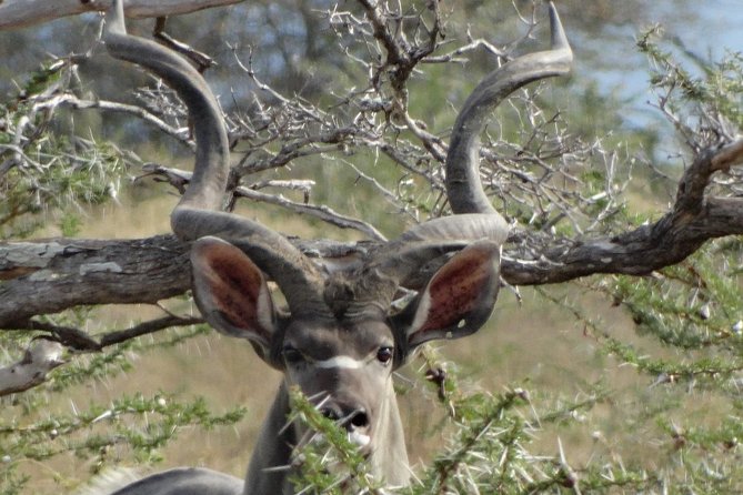 5 Days Safari to Nyerere NP (Selous GR) and Mikumi NP - Key Things You’ll Love About This Nyerere and Mikumi Safari