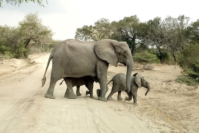 5 Days Safari to Nyerere NP (Selous GR) and Mikumi NP - Day 4 in Mikumi: Full-Day Jeep Safari With Park-Ready Lunch Boxes