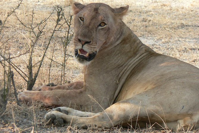 5 Days Safari to Selous & Mikumi - Why Selous and Mikumi is such a smart combo