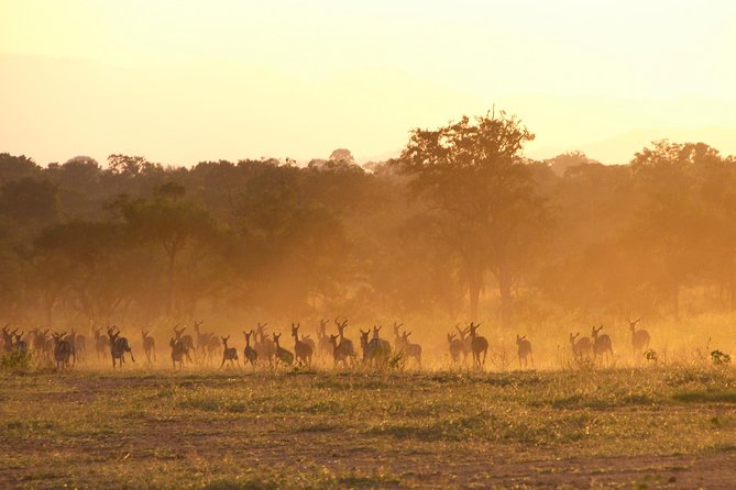 5 Days Safari to Selous & Mikumi - Day 3: Travel via Morogoro and a Mikumi sunset drive if timing works
