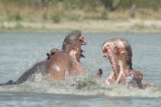 5 Days Safari to Selous & Mikumi - Day 4: A full Mikumi day focused on the flood plain