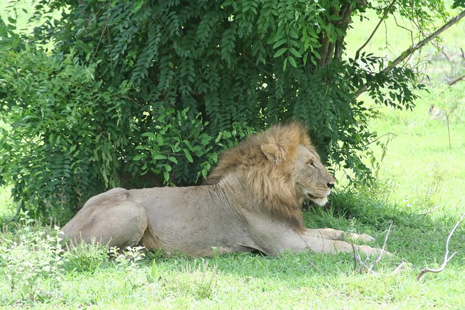 5 Days Safari to Selous & Mikumi - Price and value: what your $1,999 covers, and what it does not