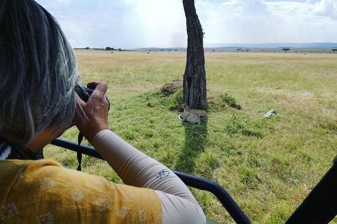 5 Days Safari to Serengeti, Ngorongoro, Tarangire from Arusha - Staying Close to the Wildlife: The Open-Roof 4x4 Experience