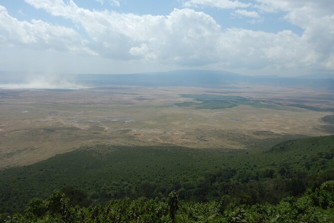 5 Days Safari to Serengeti, Ngorongoro, Tarangire from Arusha - The Serengeti Shift: Early Drive Timing in the Big Game Country