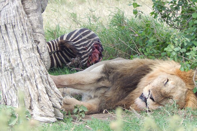 5 Days Safari to Serengeti, Ngorongoro, Tarangire from Arusha - Meals, Water, and the Small Stuff That Makes Days Easier