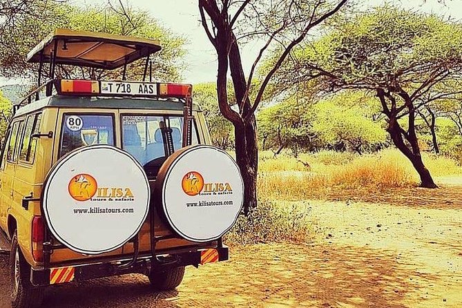 5 days Safari to Tarangire, Ngorongoro, Serengeti and Lake Manyara - Day 1: Tarangire National Park and the elephant river rhythm