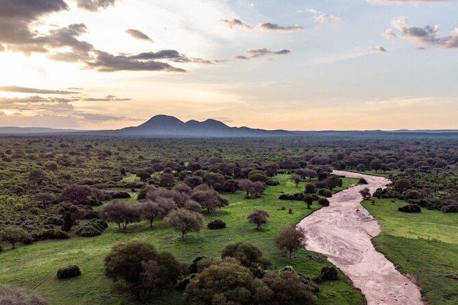 5-Days Selous Game Reserve and Mikumi National Park Tour - Day 1 in Nyerere National Park and the Rufiji River boat safari