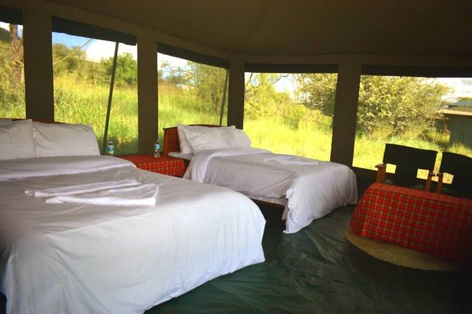 5 days serengeti, ngorongoro, tarangire & manyara lodge tour - Ngorongoro Crater: the day you slow down and look harder