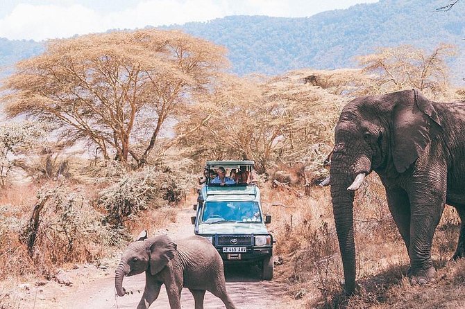 5 days serengeti, ngorongoro, tarangire & manyara lodge tour - Price and value: why $2,232.70 can be more than it looks
