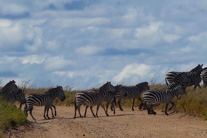 5 days Serengeti safari|Experience the great wildebeest migration - Day 5: Ngorongoro Crater morning, then back to Arusha