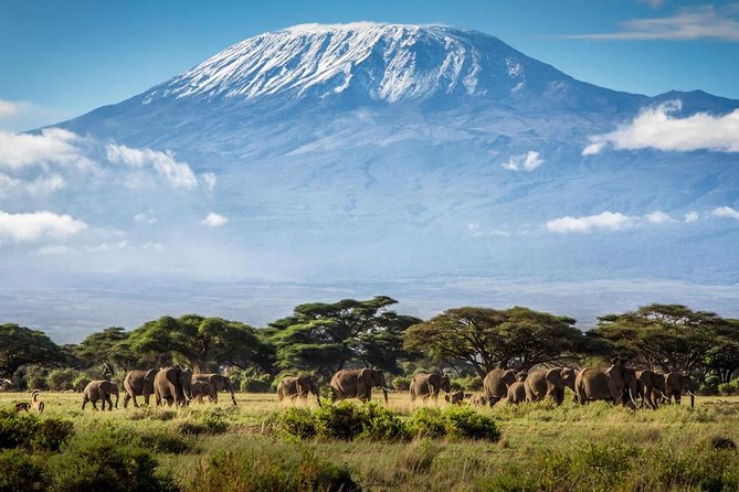 5 days Serengeti Wildebeest Migration Safari - Accommodation and comfort: what to expect when lodging options vary