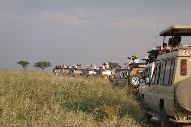 5 Days Special Safari to see migration - Serengeti Day 2: where you might see the full cast in one afternoon