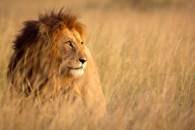 5 Days Special Safari to see migration - Meals and water: the included rhythm that keeps you from thinking about logistics