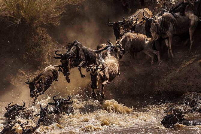 5 Days Special Safari to see migration - The guide effect: why names like David and Ramadhan matter