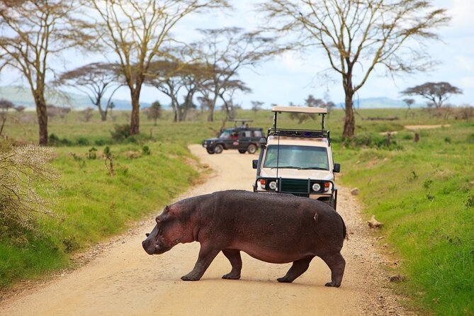 5 Days Tanzania Budget Camping Safari from Arusha - A Budget Camping Safari That Hits Four Tanzanian Heavyweights