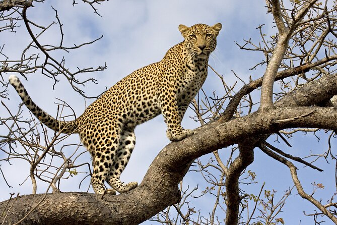 5 Days Tanzania Budget Camping Safari from Arusha - Getting Started in Arusha at 6:00 am (Meru House Inn)