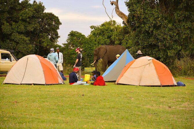 5 Days Tanzania Family Safari - Roofed 4x4 game drives that keep you in the action