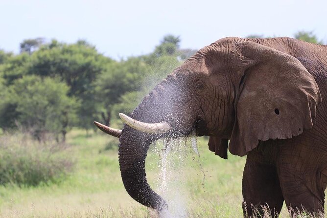 5 Days Tanzania Joining Safari with Pick Up Included Shared Tour - A Fast Safari Starter: Arusha Pickup to Crater Dreams