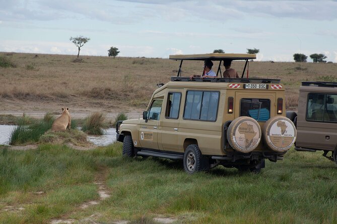 5 days Tanzania midrange lodge Private safari - The timing trick: early starts and long drives (and why you should embrace them)