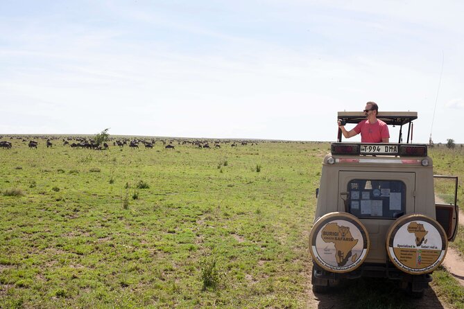 5 days Tanzania midrange lodge Private safari - Day 1 in Tarangire: elephants and baobabs to set the tone