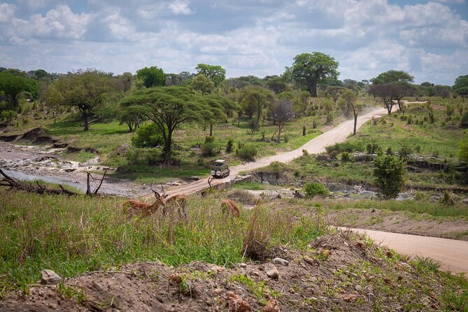 5 Days Tanzania's Wildlife Joint Safari. - Day 2 Serengeti Arrival With a Ngorongoro Viewpoint Stop