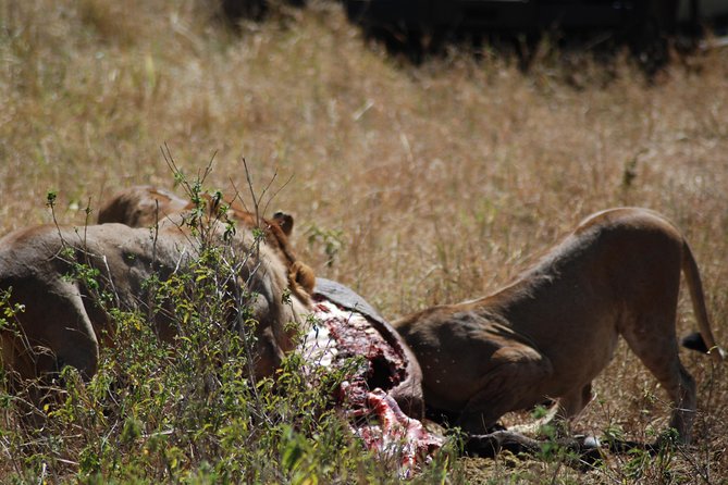 5 Days Tanzania Safari from Mwanza to Arusha - Descending into the crater: game viewing on the slopes, then back up
