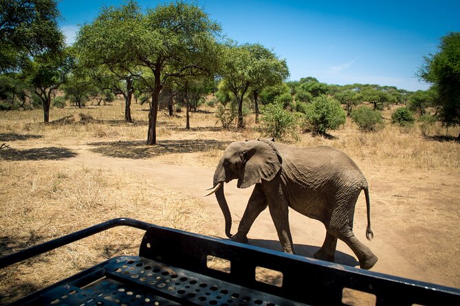 5 Days Tanzania Safari Great Wildebeest Migration - Key things to know before you go