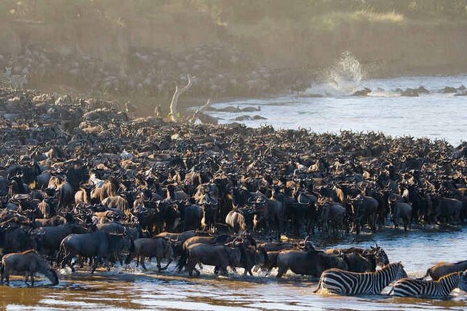 5 Days Tanzania Safari Great Wildebeest Migration - Price and what you actually get for $1,990