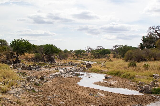 5 Days Tanzania Safari Great Wildebeest Migration - Day 5: Ngorongoro Crater descent and picnic lunch on the floor
