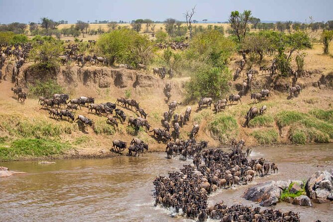 5 Days Tanzania Safari Great Wildebeest Migration - How the schedule affects what you see (and what to manage)