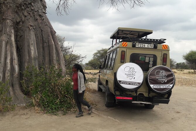 5 Days Tanzania Safari - Migration and Big 5 Safaris - Moshi Safari Setup: Pickup, Open-Roof 4WD, and What “Mobile Ticket” Means