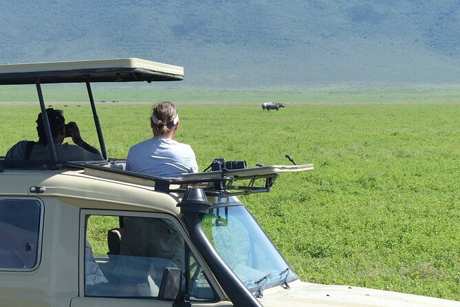 5 Days Tanzania Wildlife Safari Private Tour - Day 4 Tarangire National Park: baobabs, elephants year-round, and a long list of big animals