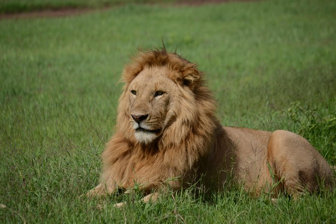 5 Days Tarangire ,Serengeti.Ngorongoro and Lake manyara - Key things that make this safari worth your attention